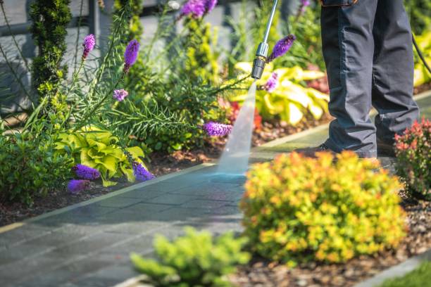Professional Pressure Washing Services in Colleyville, TX